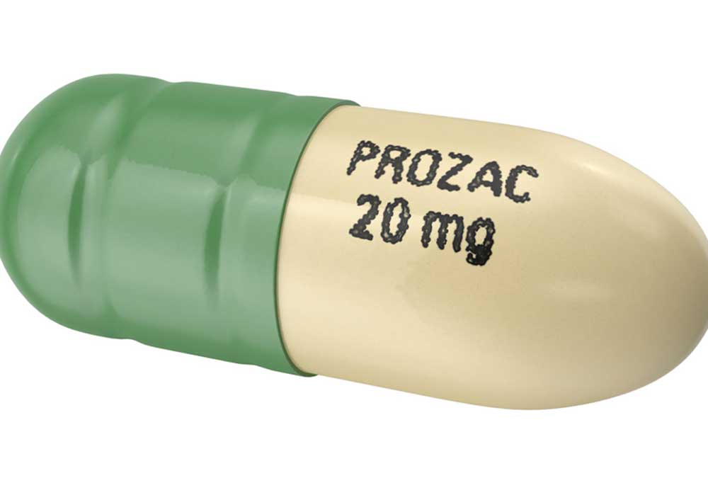 Can Dogs Take Human Prozac