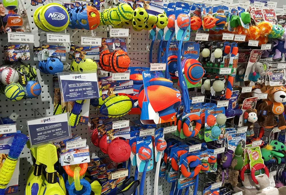 How Often Do Dogs Need New Toys?