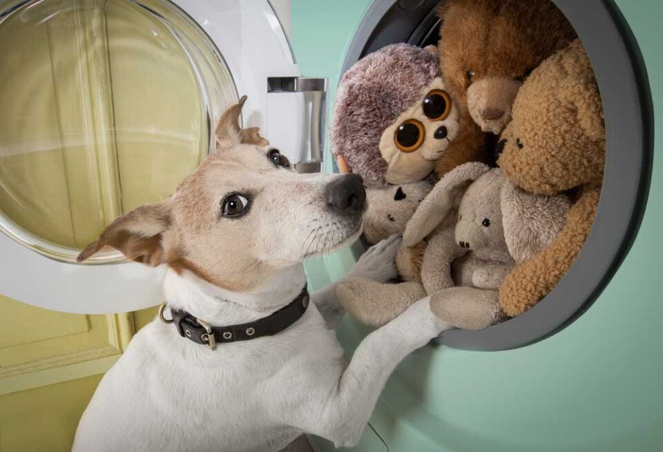 How to Wash Dog Toys?