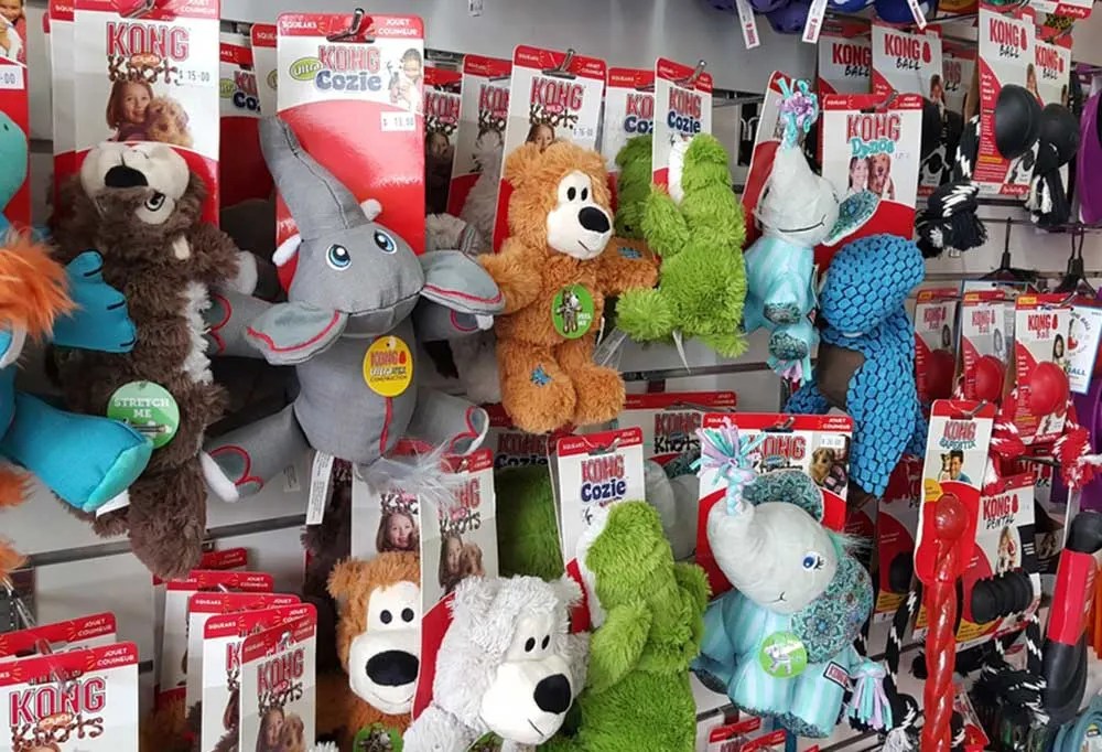 How Often Do Dogs Need New Toys?