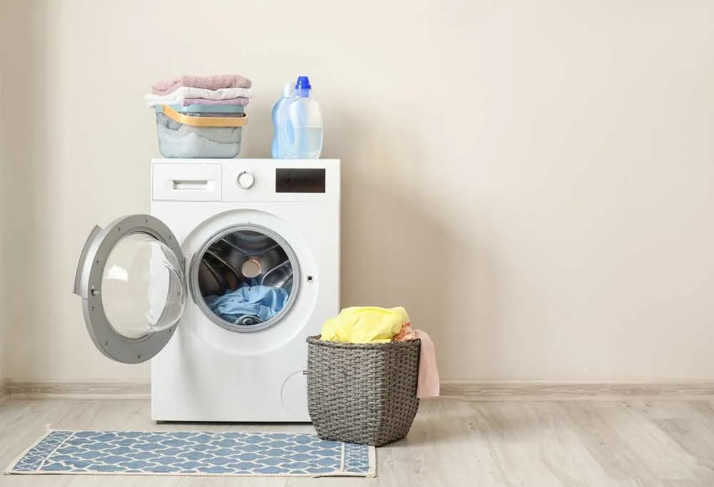 How to Wash Plush Dog Toys with Squeakers?