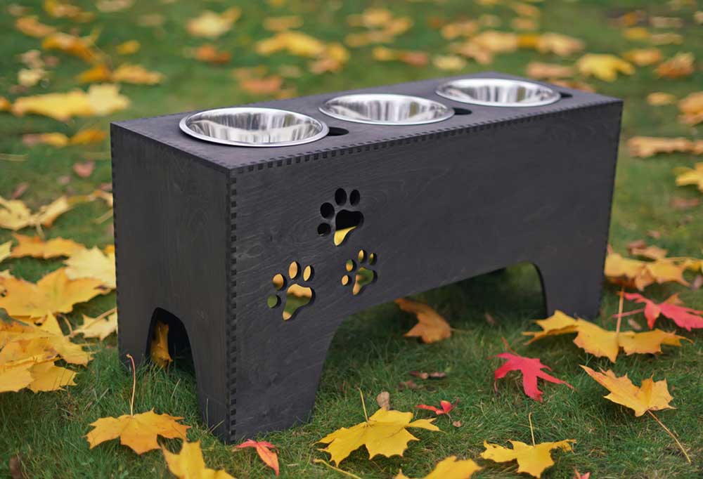 Are Raised Feeding Stations Good for Dogs?