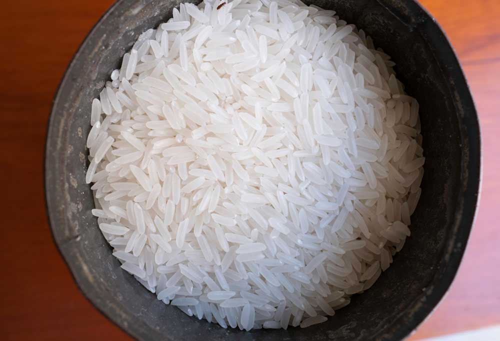 How to Cook Rice for Dogs?