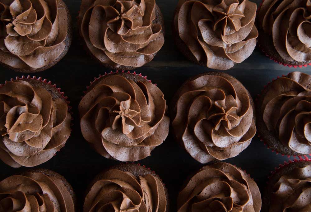 Help! My Dog Ate a Chocolate Cupcake