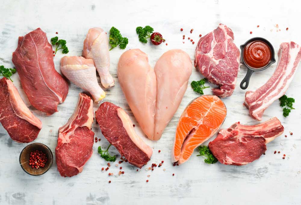 What is the Best Dog Food for Dogs with Allergies?