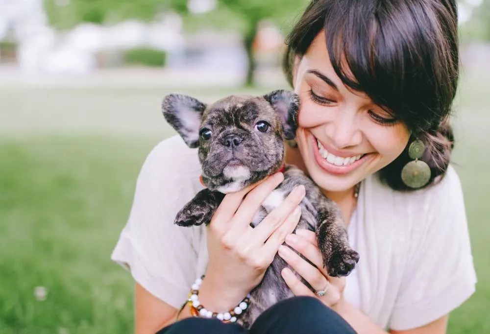 How Much Does a Frenchie Cost?