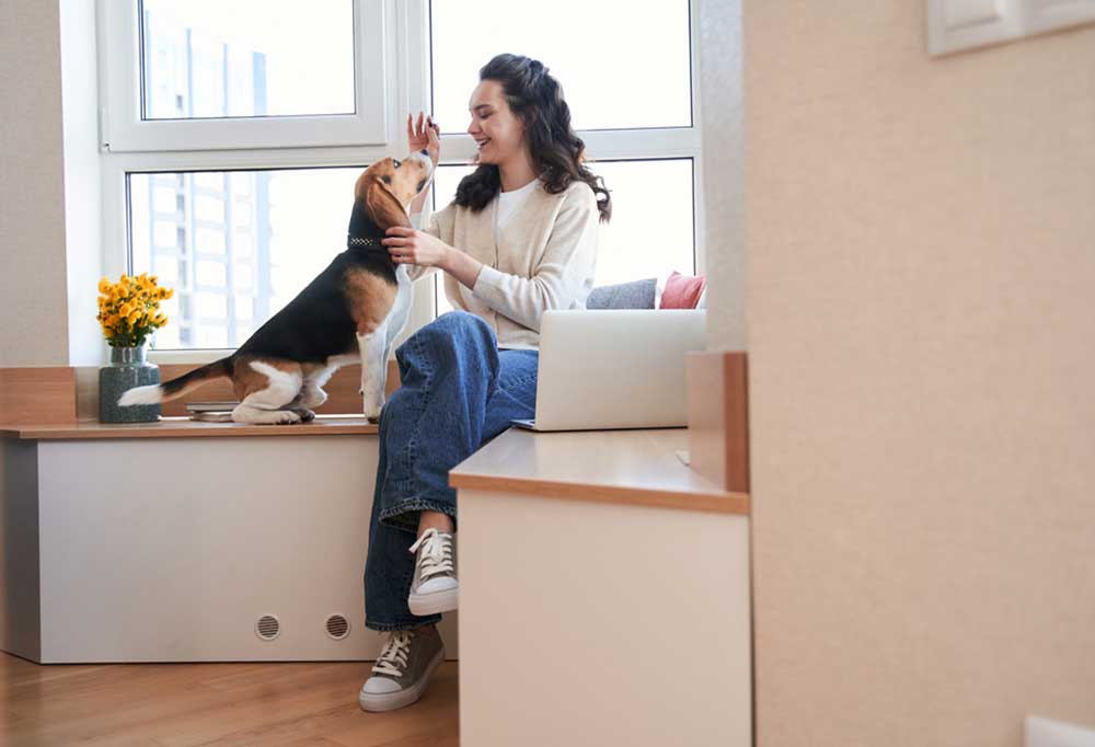 Are Beagles Good Apartment Dogs?