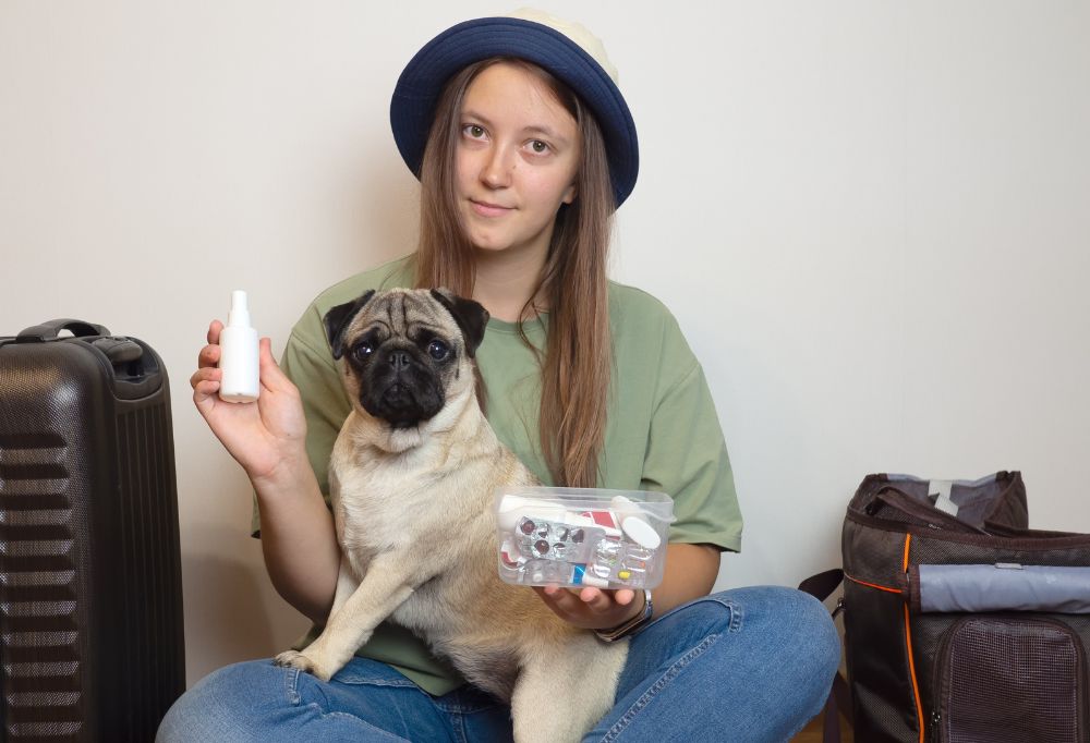 What Should I Pack in a Travel First Aid Kit for My Dog?