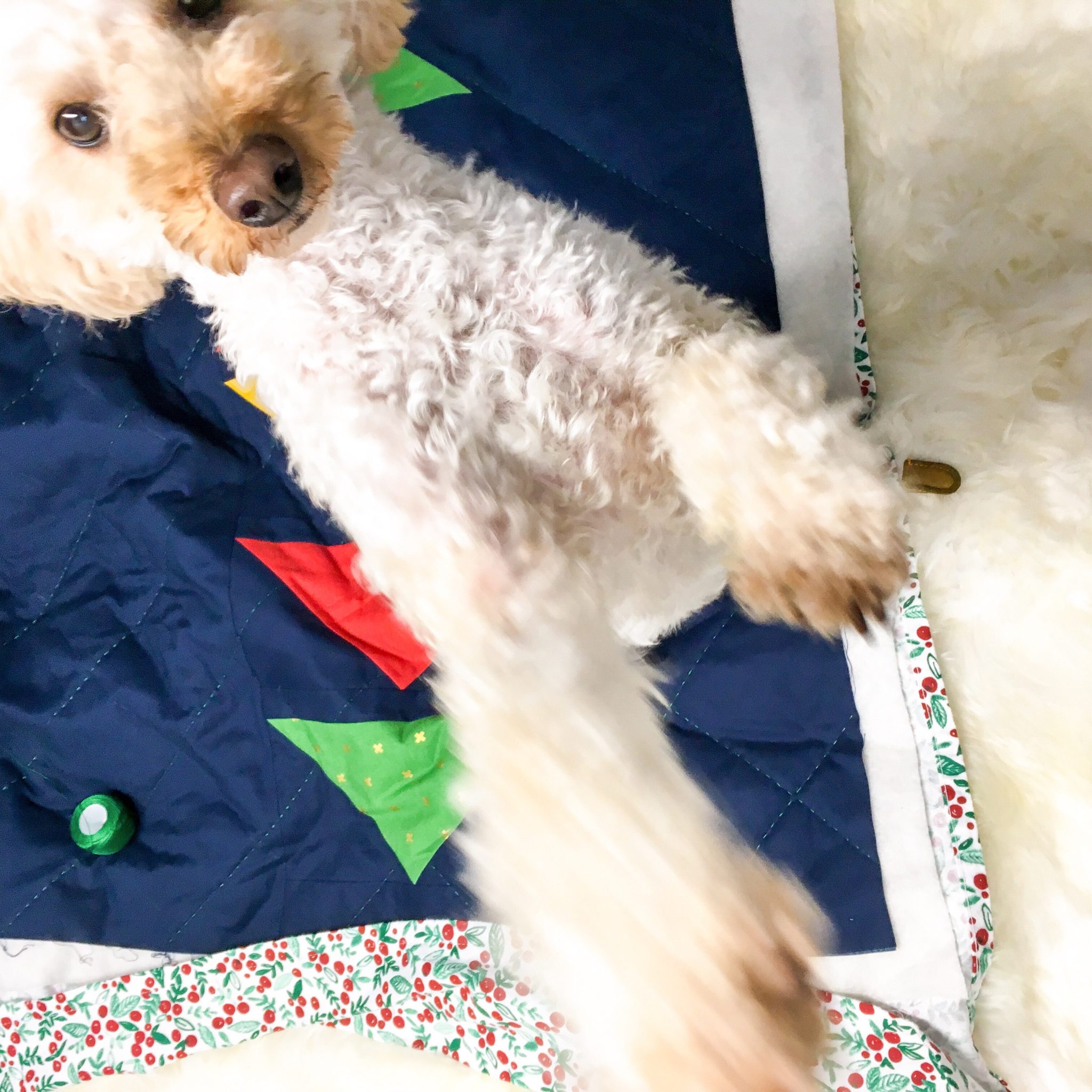 Dogs on Patchwork & Poodles Quilts! Patchwork and Poodles