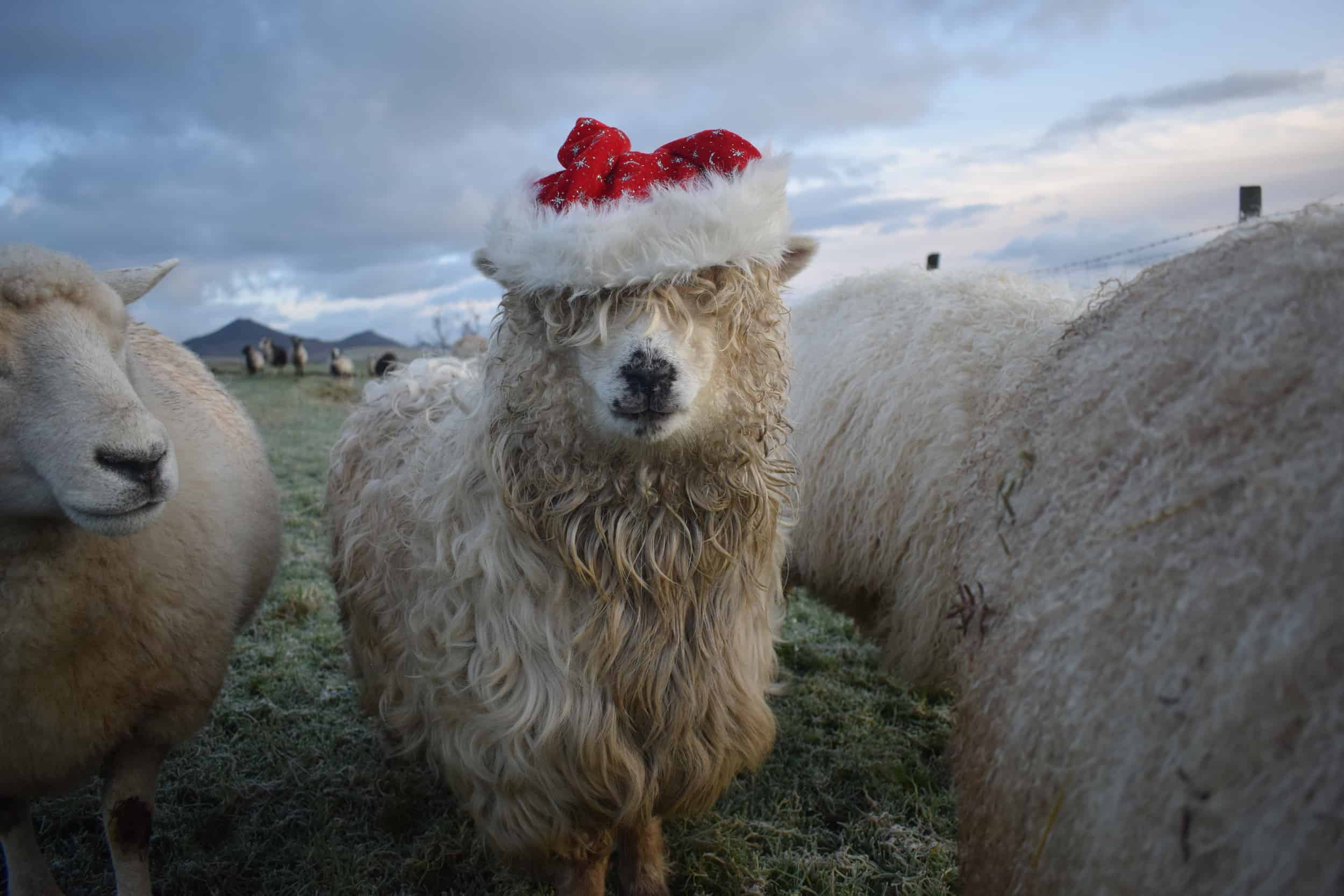 Merry Patchwork Sheep