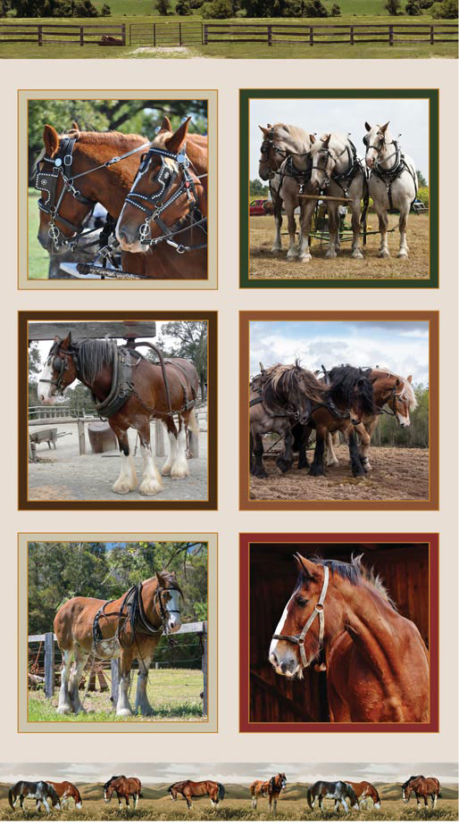 Heavy Horses Panel (A) Patchwork with Gail B Patchwork with Gail B