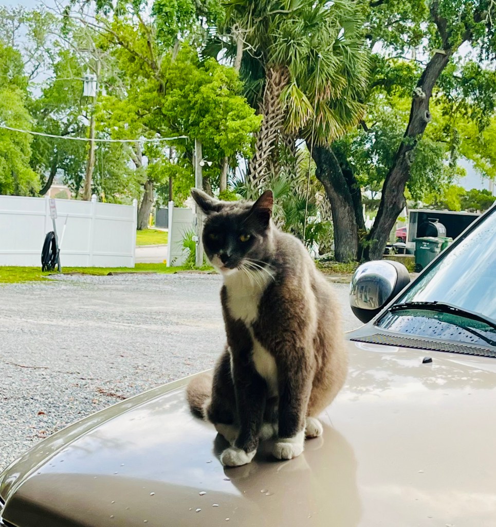 Rivers Edge Marina St. Augustine Pat and Cindy's Great Loop Adventure