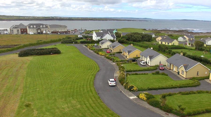 Home Pat Considine Auctioneers