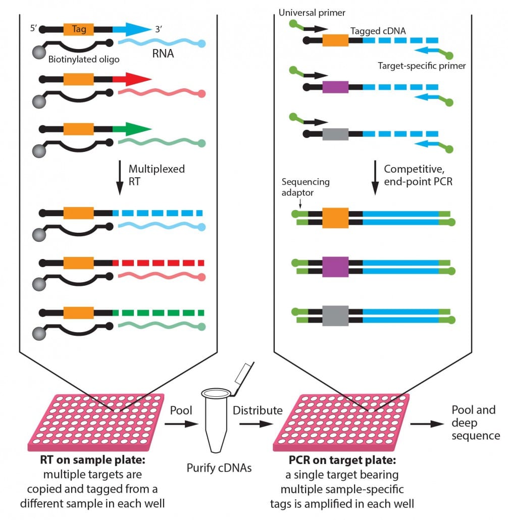 Abhijit Patel Lab Yale Research