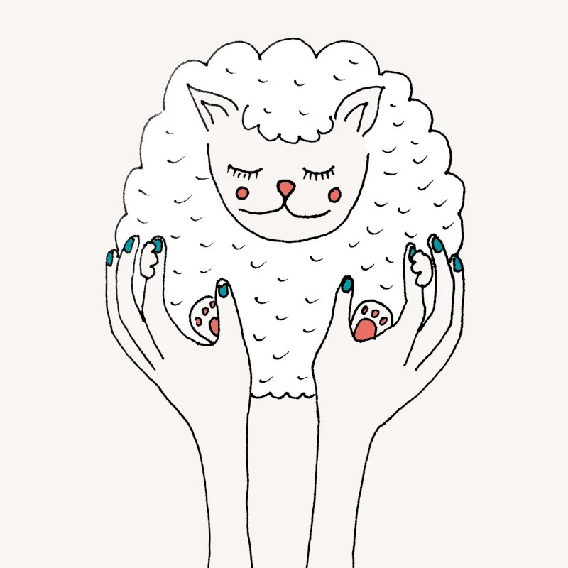 Wełna merino co to za materiał? Paterns Blog