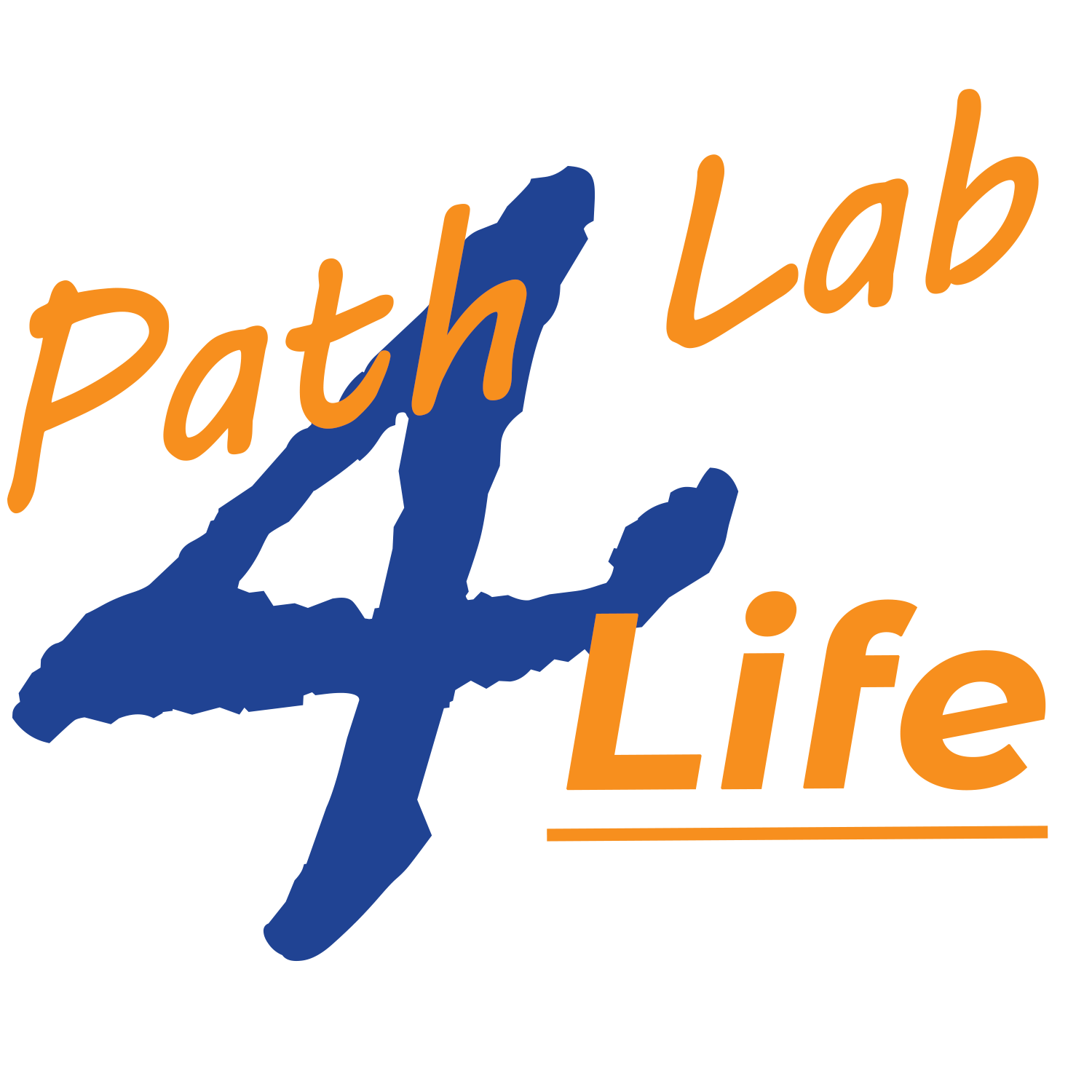 Home Path Lab 4 Life