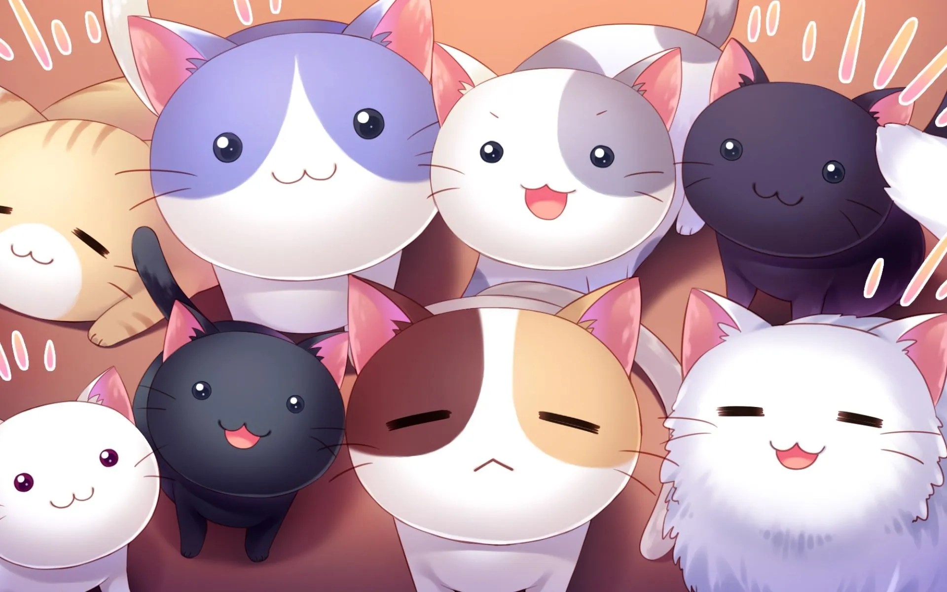 Discord Kitten Meaning How to A Discord Kitten 2023?