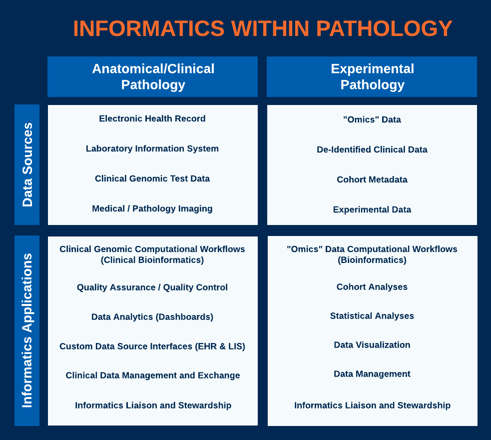 Pathology Informatics » Department of Pathology, Immunology and Laboratory Medicine » College of