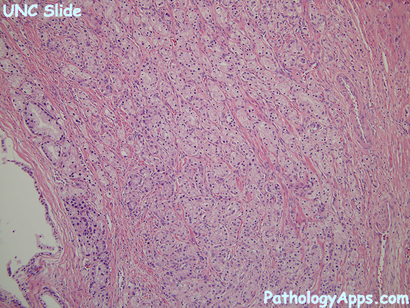 Expand All Collapse All