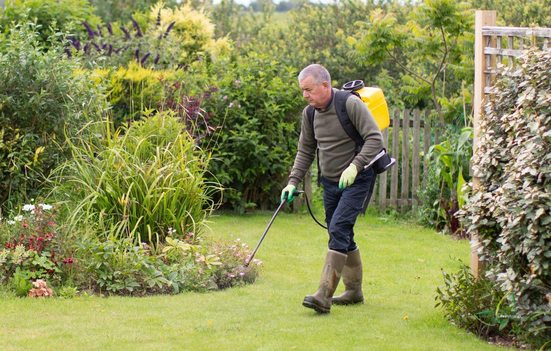 Top Weed Killer for Your Lawns (2022 Guide) Leading Lifestyle
