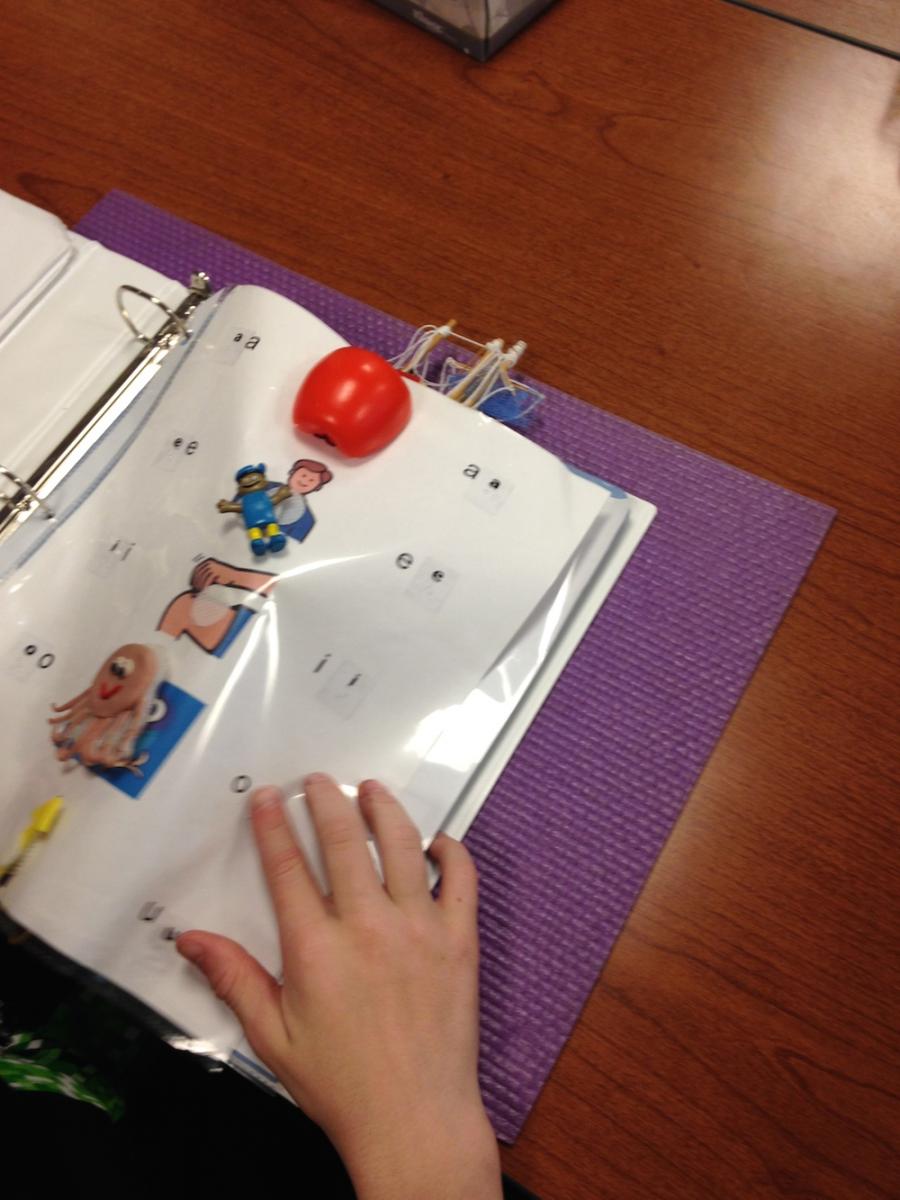 Case Studies Using the Wilson Reading System with Struggling Braille