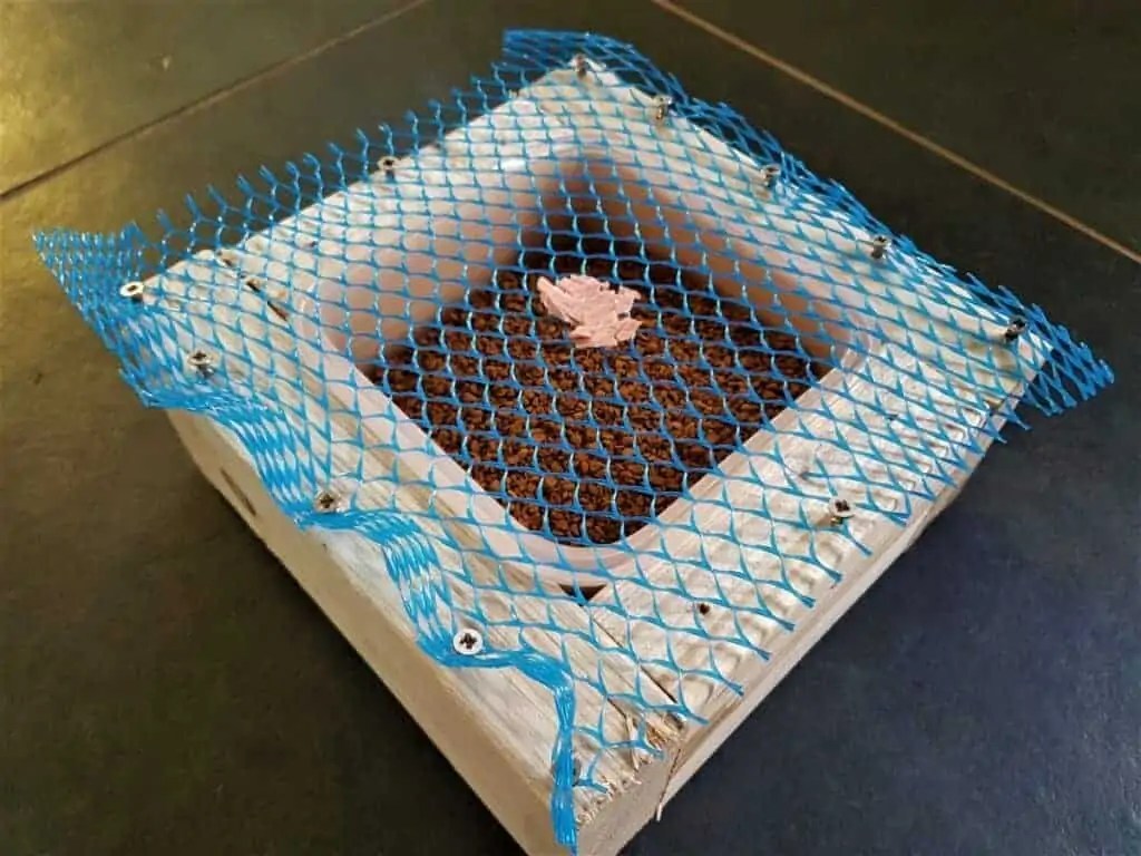 8 Smells Dogs Hate The Most A RealWorld Test