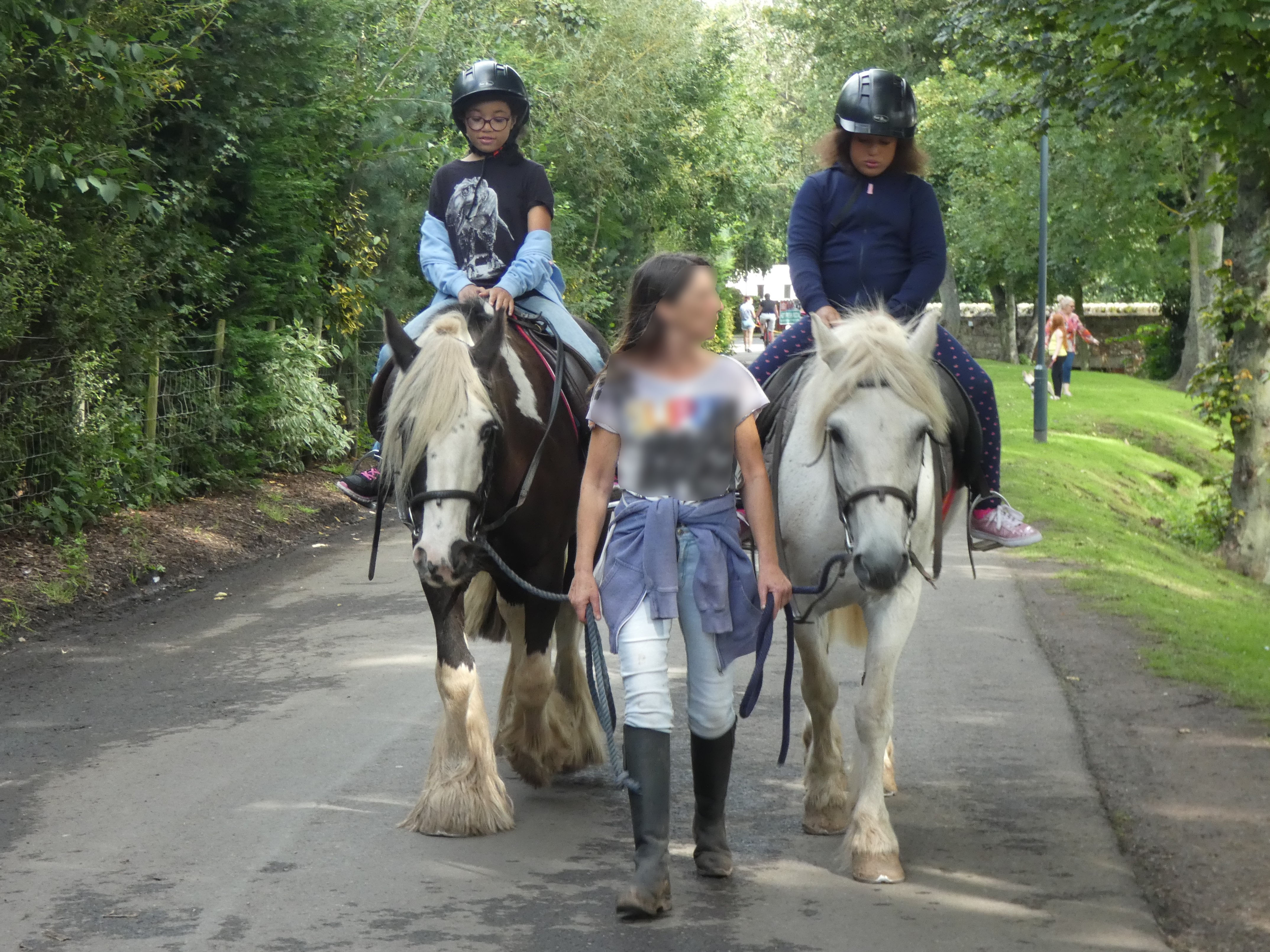 Haggerston Castle Pathways 4 All