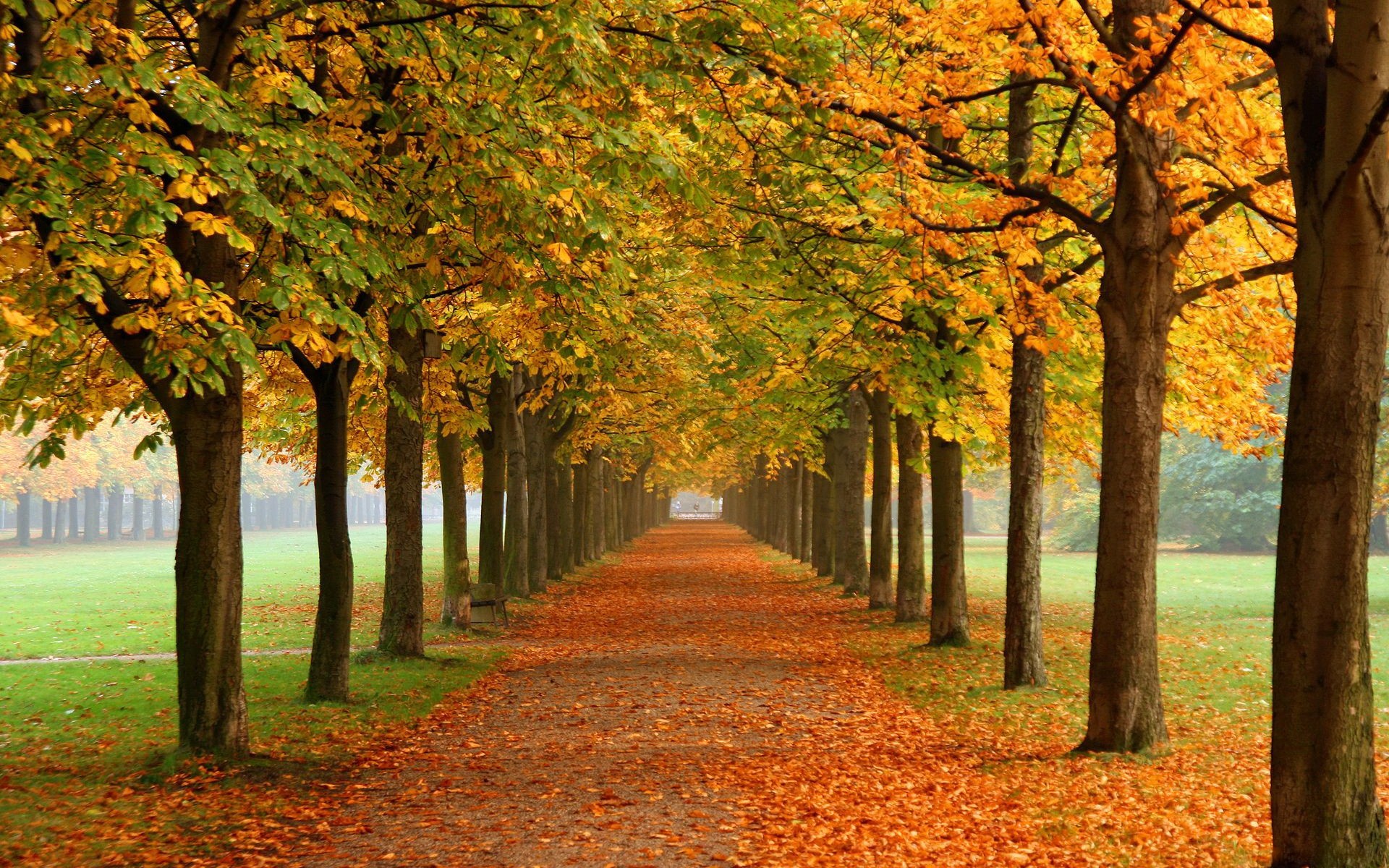 pathwaysbackground Pathways Real Life Recovery