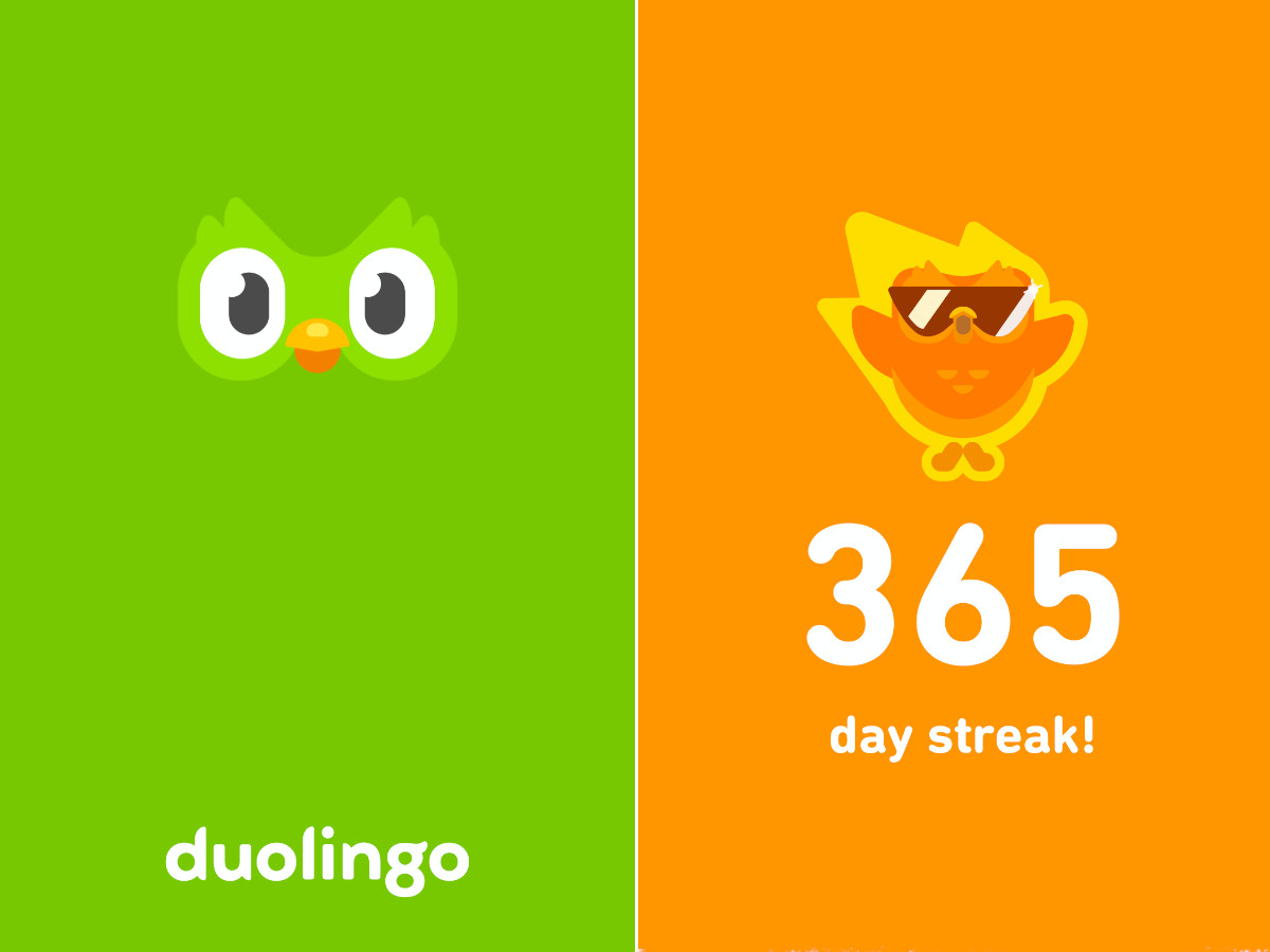 Featured App Duolingo Pathway  Designs Dutchess County NY