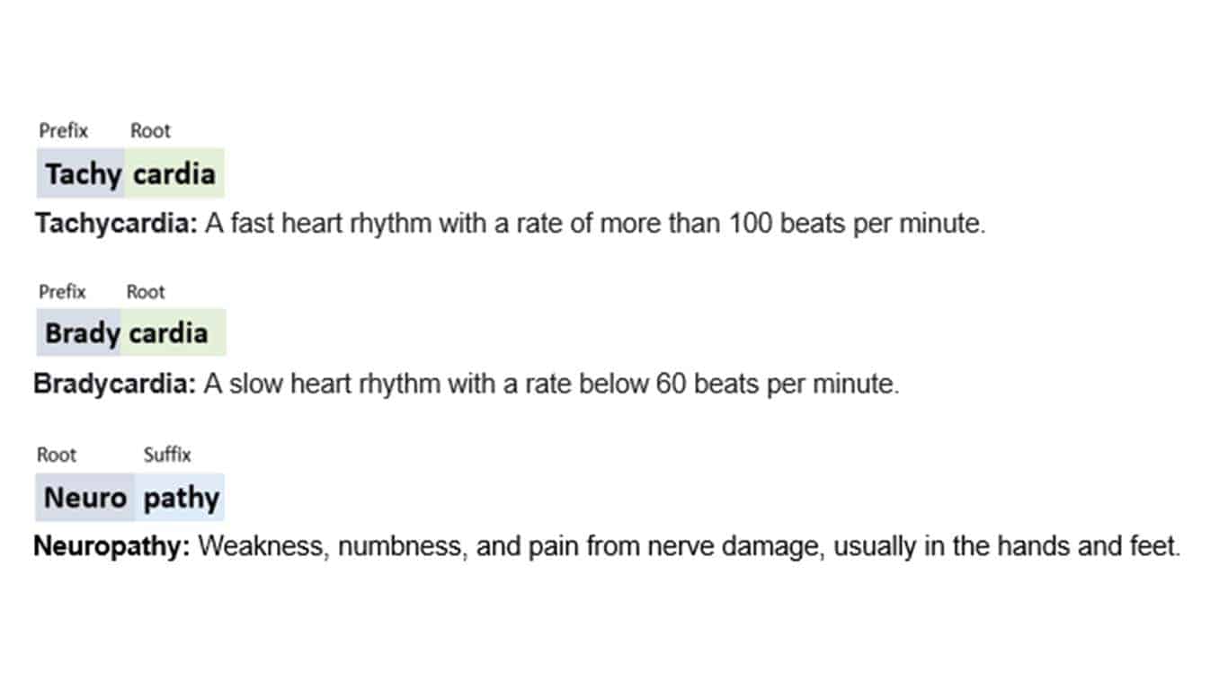 Take the Incredible Medical Terminology Quizlet (Free) 2022