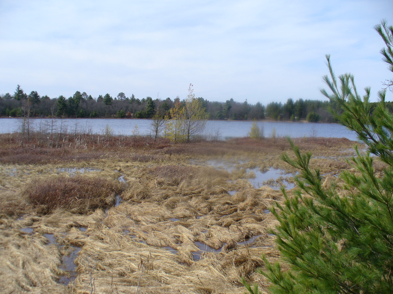 Crystal Lake Road Patrick Realty