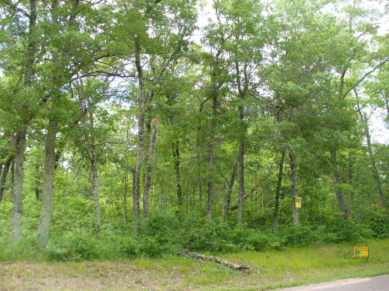 Pokegama Lake Lot Minong, Wisconsin Buildable Land Patrick Realty