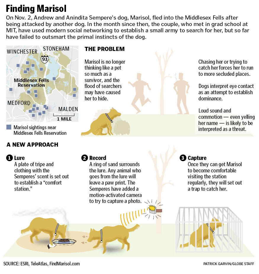 Patrick Garvin Infographics