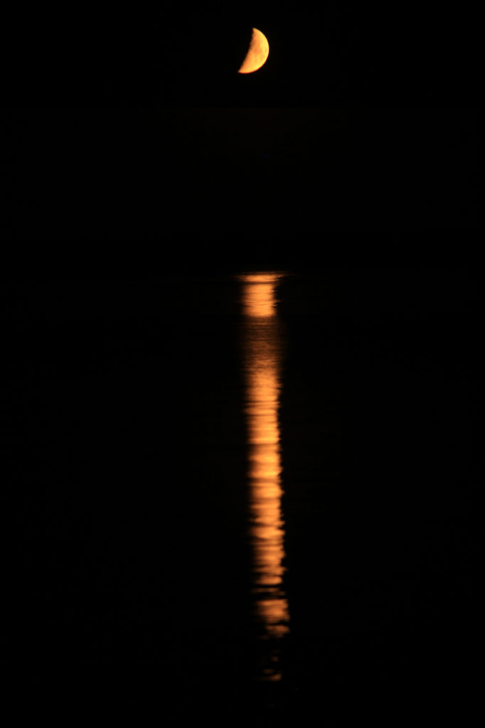 The moon reflected in the lake