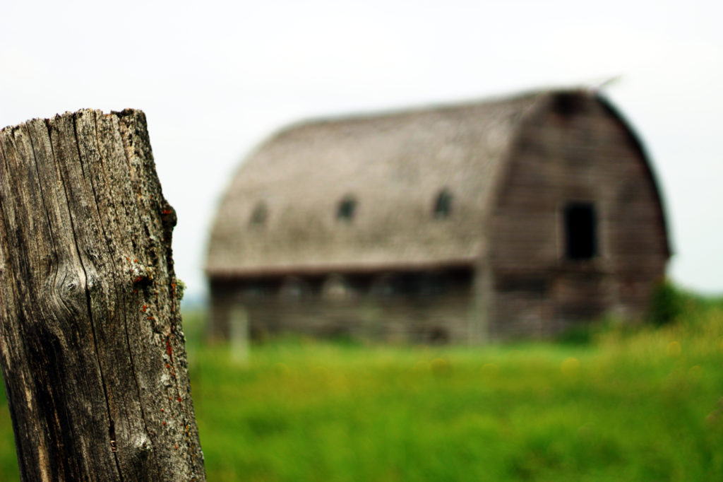 A fencepost in the foreground; in the background, blurred, is the barn