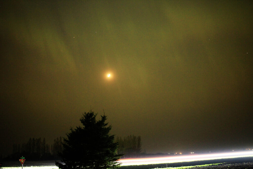 Faint aurora and the moon above a pine tree; the lights of a passing car are a white streak at the bottom of the photo