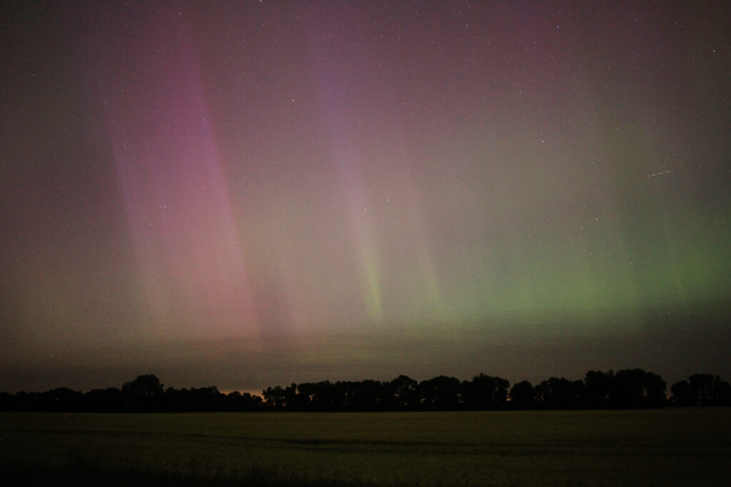 Aurora Borealis above the prairie - pillars of purple over a line of trees