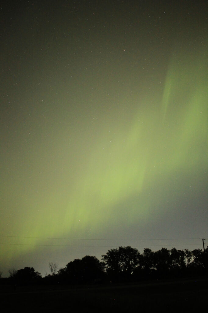 Aurora Borealis above the prairie - A faint band of green above the trees
