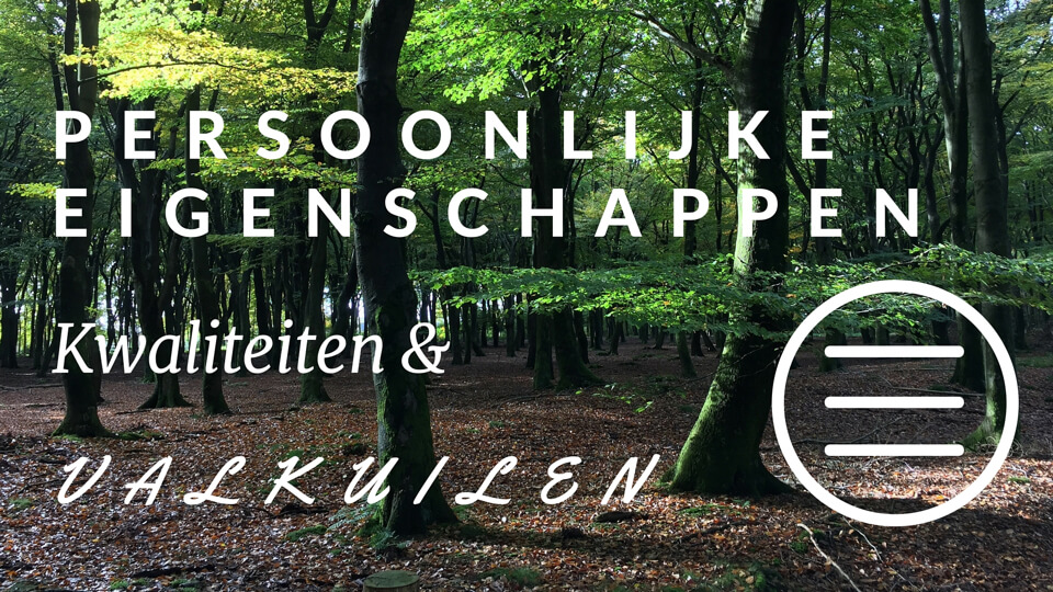 Persoonlijke Eigenschappen En Kwaliteiten Lijst Met Valkuilen