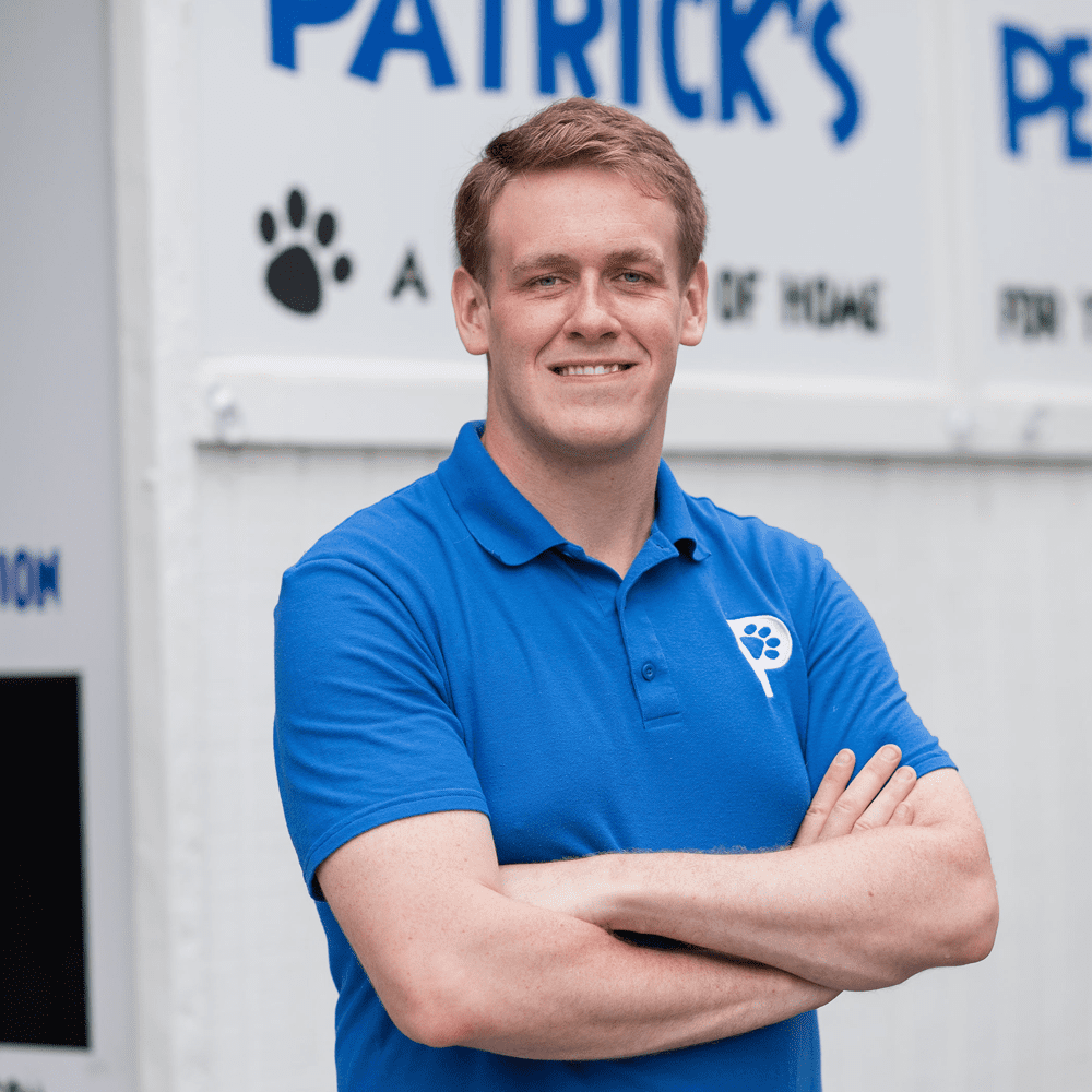 Meet the Founder Patrick's Pet Care