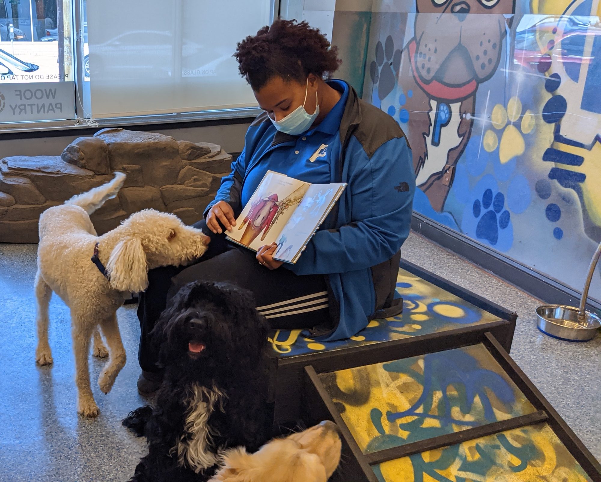 Dog Montessori Teacher Career Patrick's Pet Care