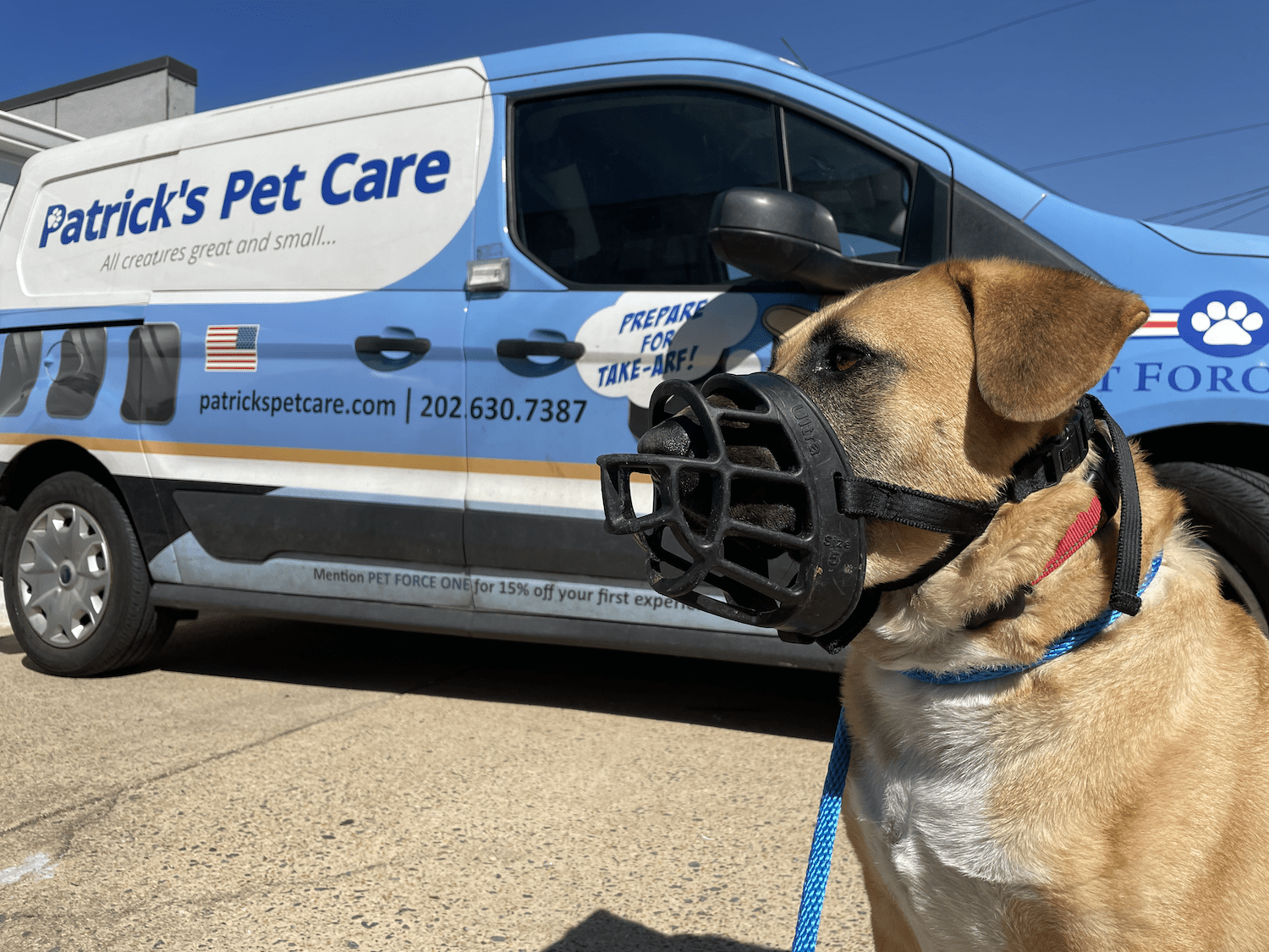 Private Dog Training Lessons and Consultations Patrick's Pet Care