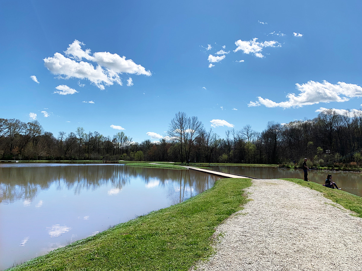 Places to Hike Near Clemson, SC Patrick Square