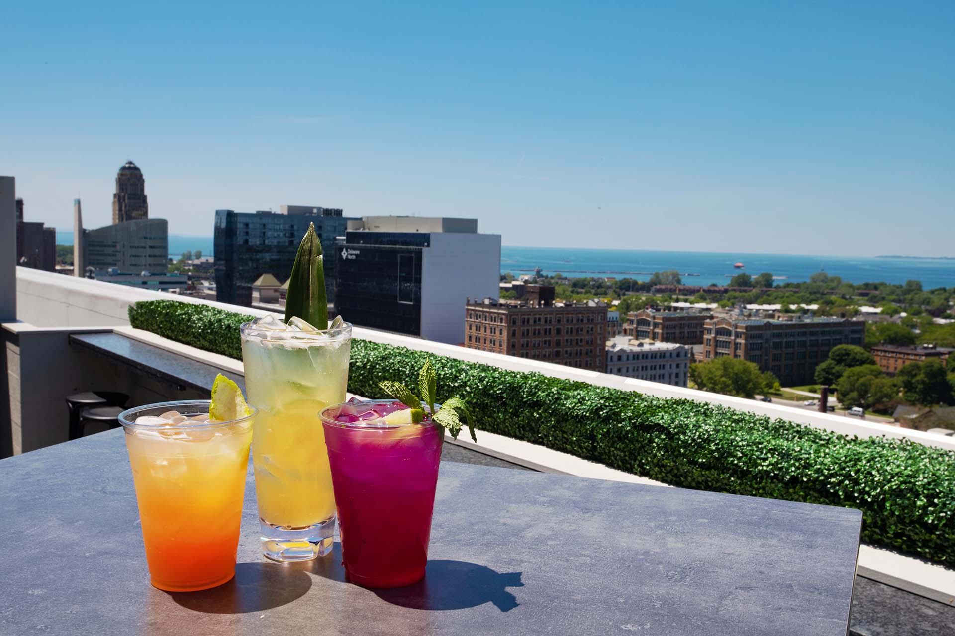 Patrick's Rooftop Bar Buffalo, NY Bar
