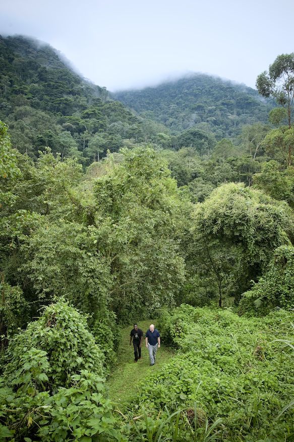 Path Of Dreams The Trip Of A Lifetime In Uganda Patrick - 