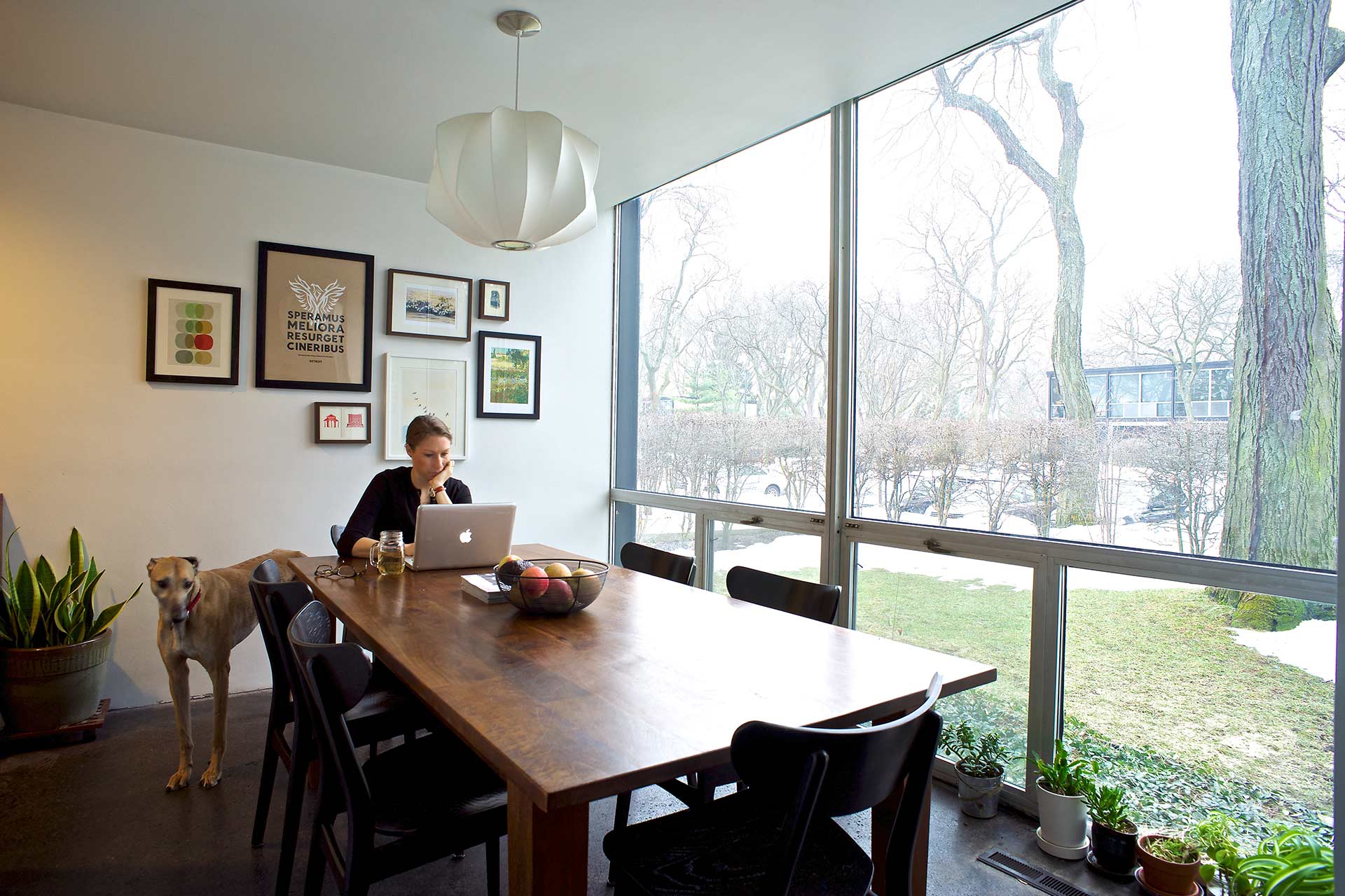 Lafayette Park Townhouse Patrick Thompson Design