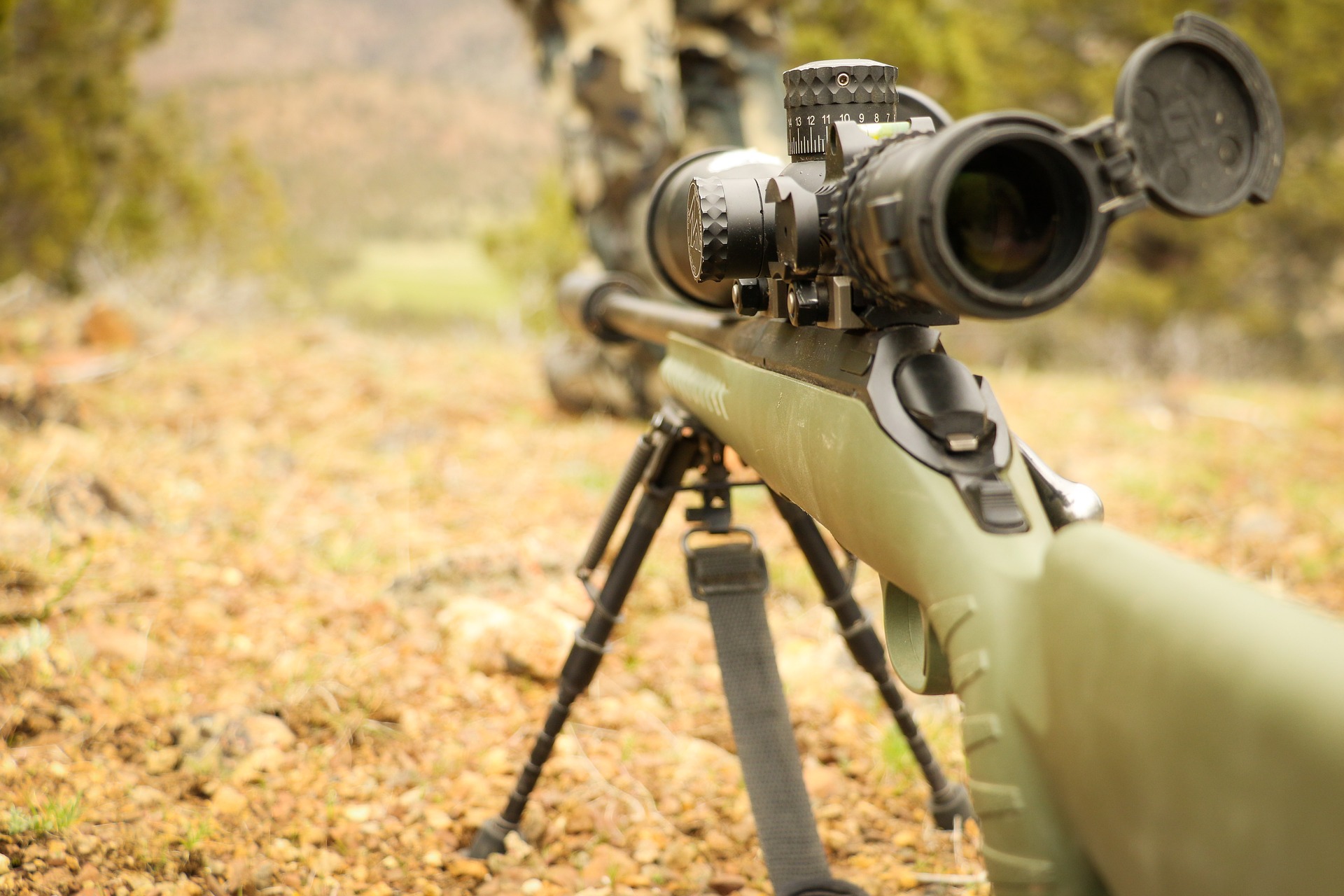 7 Best BoltAction Rifles Under 500 Patriot Caller