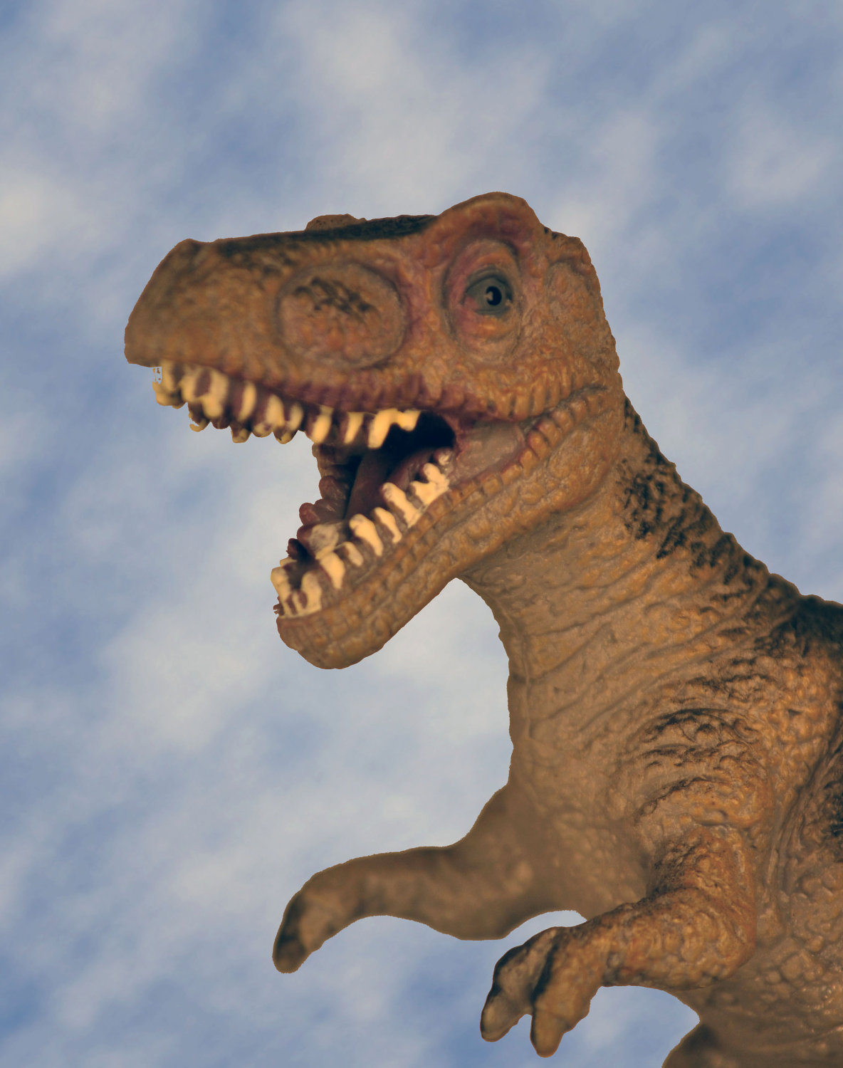 Tyrannosaurus Rex School Portrait Patsy Fine Design