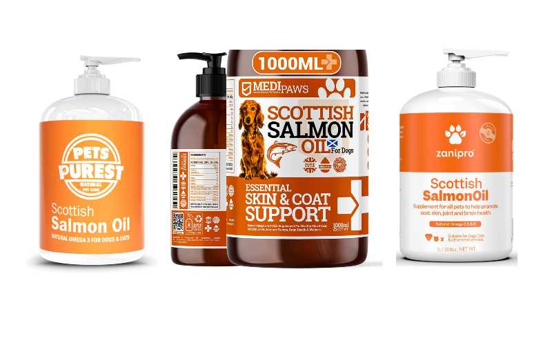 Salmon Oil for Dogs Patterdale Terriers