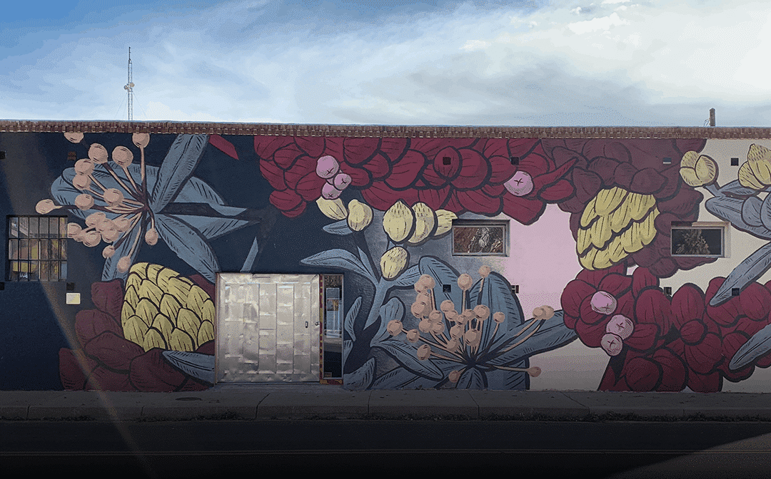 Albuquerque’s Amazing Mural Art Pattern Energy